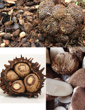 Load image into Gallery viewer, TREATS jewellery - Local Designer